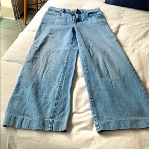 Light wash wide leg everlane jean